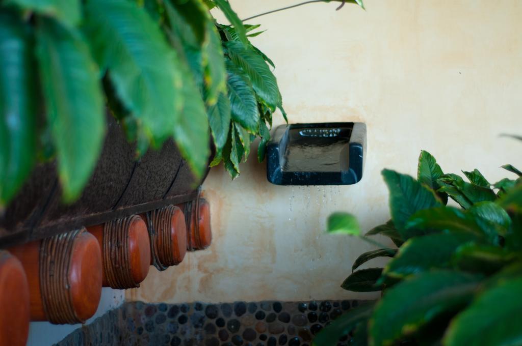 Tentaciones Hotel&Lounge Pool - Adults Only Zihuatanejo Exterior foto